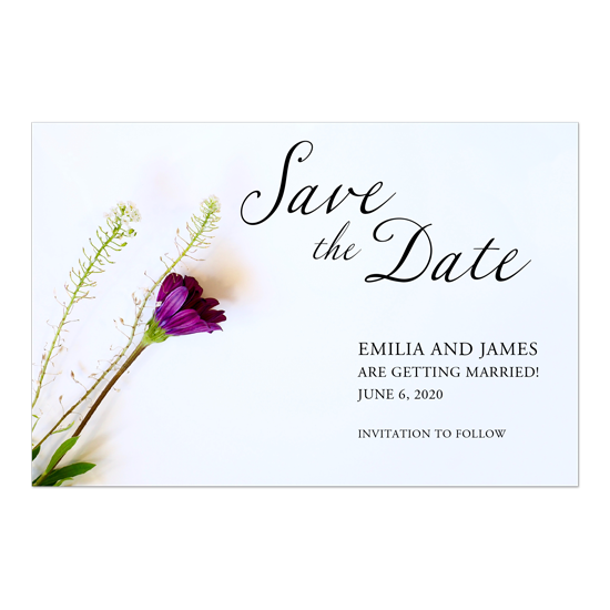 Purple Save the Dates (Cards, Magnets, & Postcards)